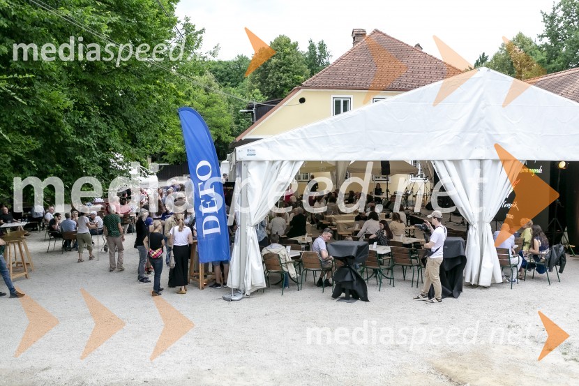 Kresnika za najboljši roman leta je prejela Anja Mugerli