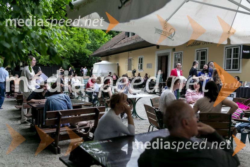 Kresnika za najboljši roman leta je prejela Anja Mugerli