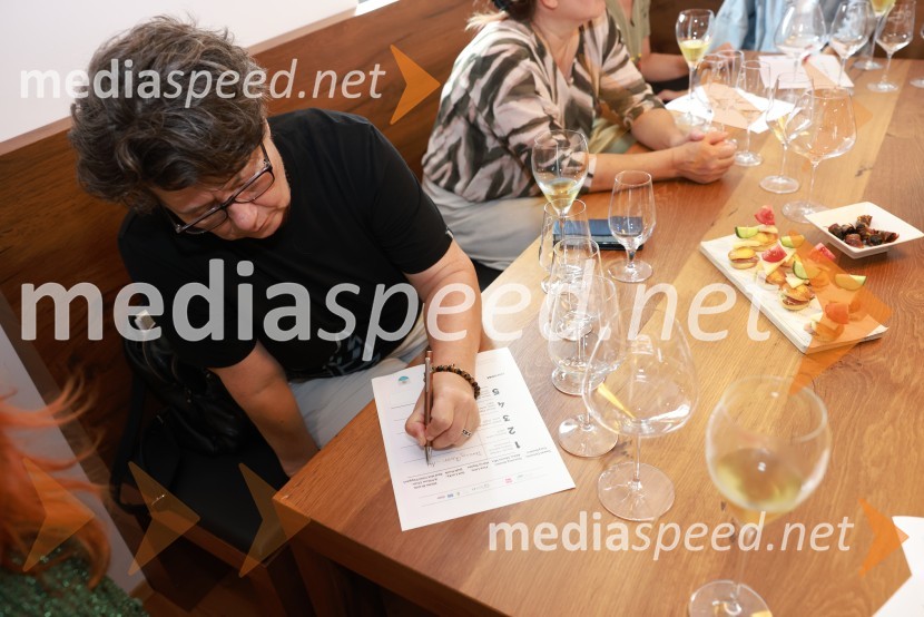 Predstavitev ampelografskega vrta in nove multisenzorične izkušnje na posestvu Steyer