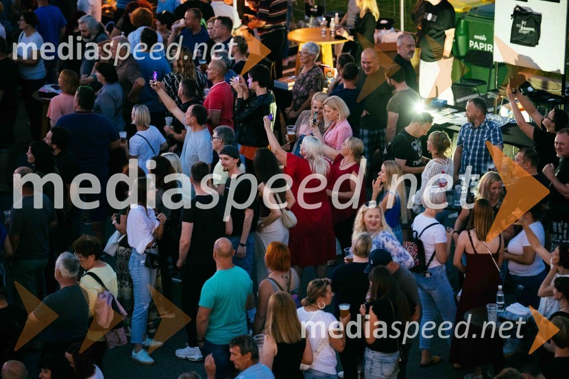 Veliki koncert Vlada Kreslina z Malimi bogovi v Citycentru Celje