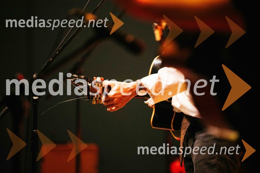 Veliki koncert Vlada Kreslina z Malimi bogovi v Citycentru Celje