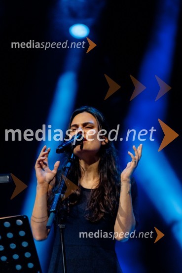  Milica ŠerbedžijaRade Šerbedžija na 72. Ljubljana Festivalu