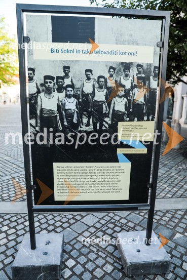 V Novem mestu obeležili 100. obletnico prvih Štukljevih medalj na olimpijskih igrah