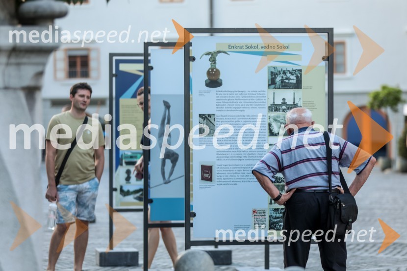 V Novem mestu obeležili 100. obletnico prvih Štukljevih medalj na olimpijskih igrah