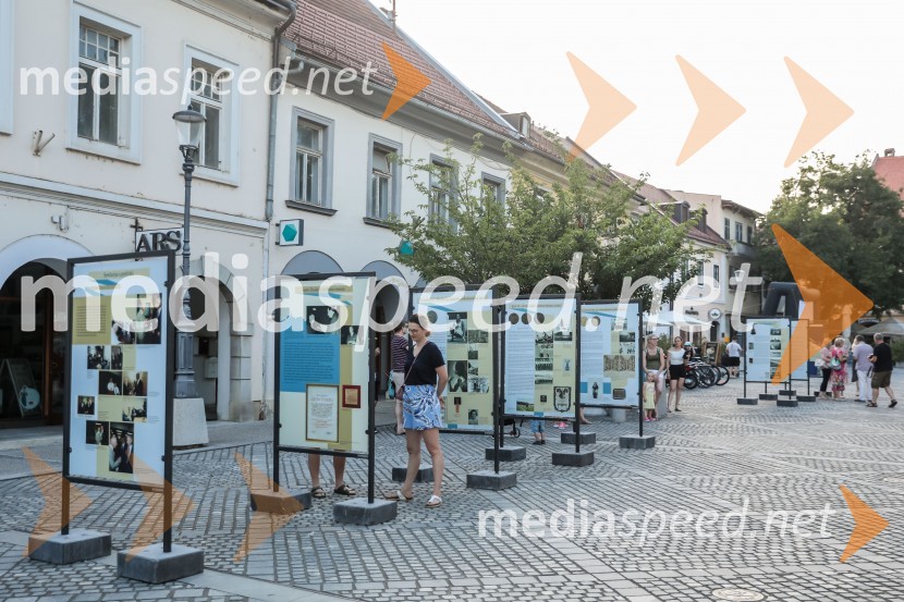 V Novem mestu obeležili 100. obletnico prvih Štukljevih medalj na olimpijskih igrah