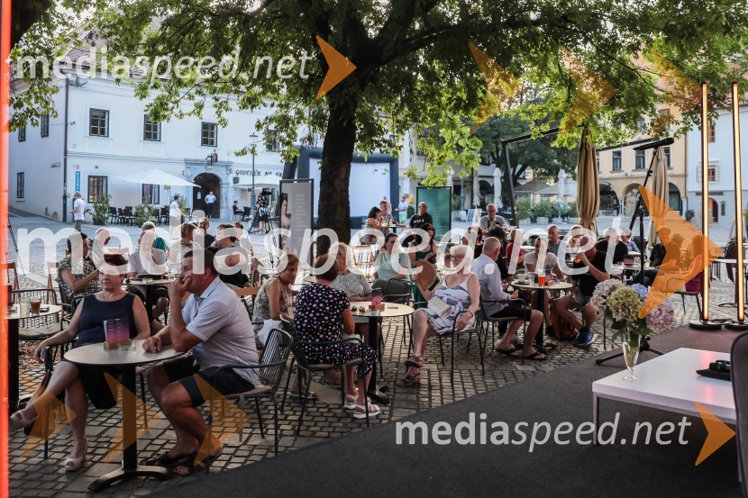 V Novem mestu obeležili 100. obletnico prvih Štukljevih medalj na olimpijskih igrah