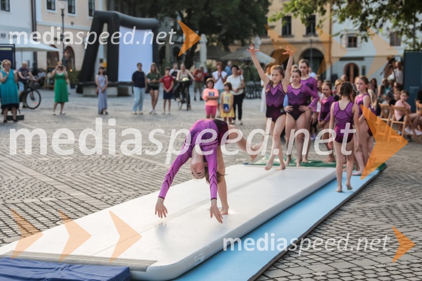 V Novem mestu obeležili 100. obletnico prvih Štukljevih medalj na olimpijskih igrah