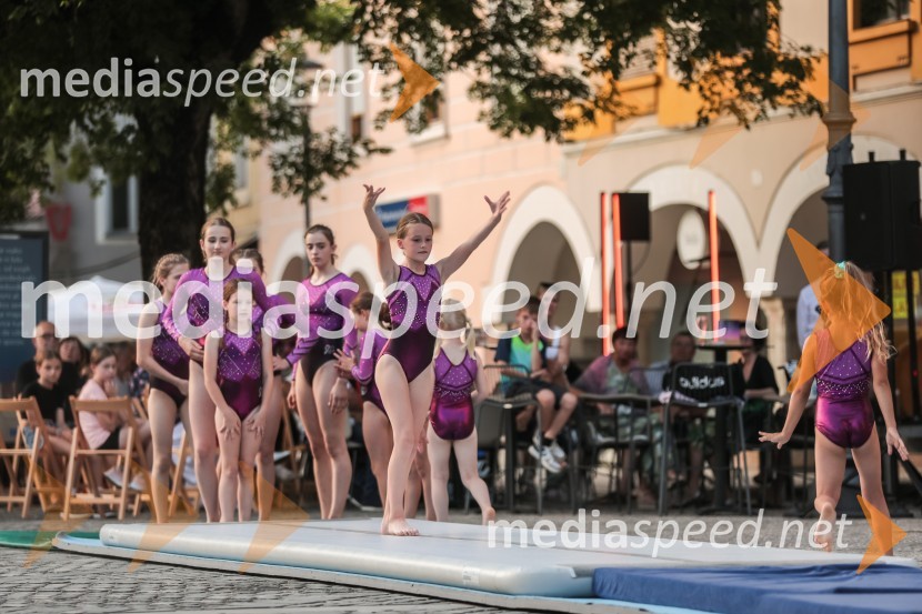 V Novem mestu obeležili 100. obletnico prvih Štukljevih medalj na olimpijskih igrah