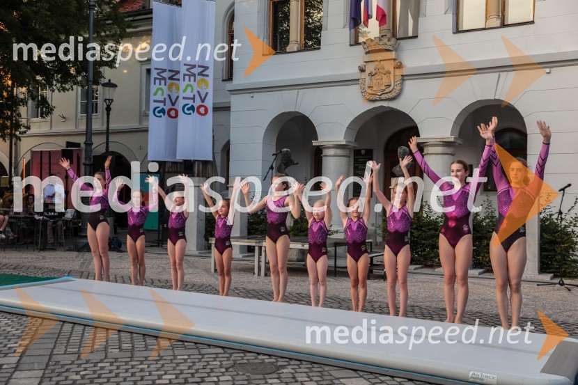 V Novem mestu obeležili 100. obletnico prvih Štukljevih medalj na olimpijskih igrah