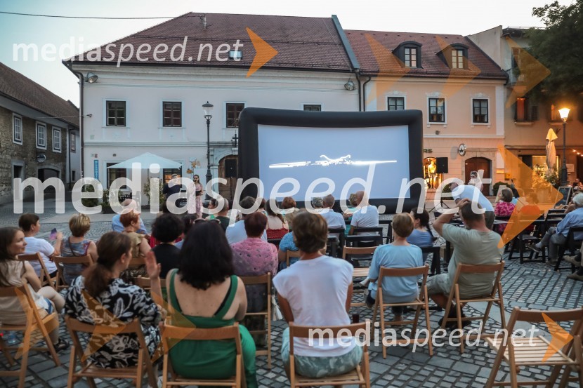 V Novem mestu obeležili 100. obletnico prvih Štukljevih medalj na olimpijskih igrah