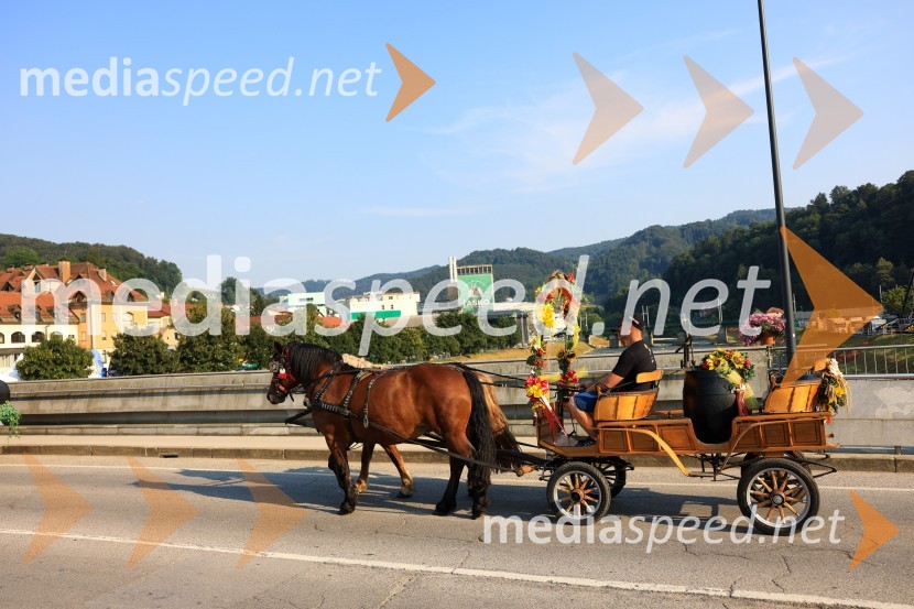 59. festival Pivo in cvetje Laško, otvoritev festivala