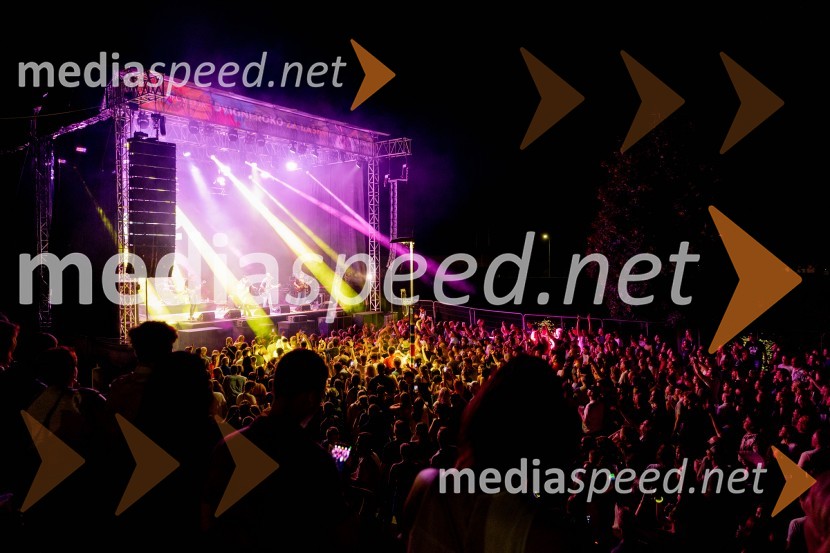 59. festival Pivo in cvetje Laško, otvoritev festivala