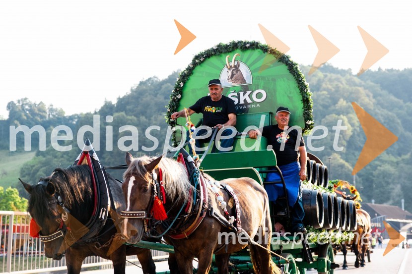 59. festival Pivo in cvetje Laško, otvoritev festivala