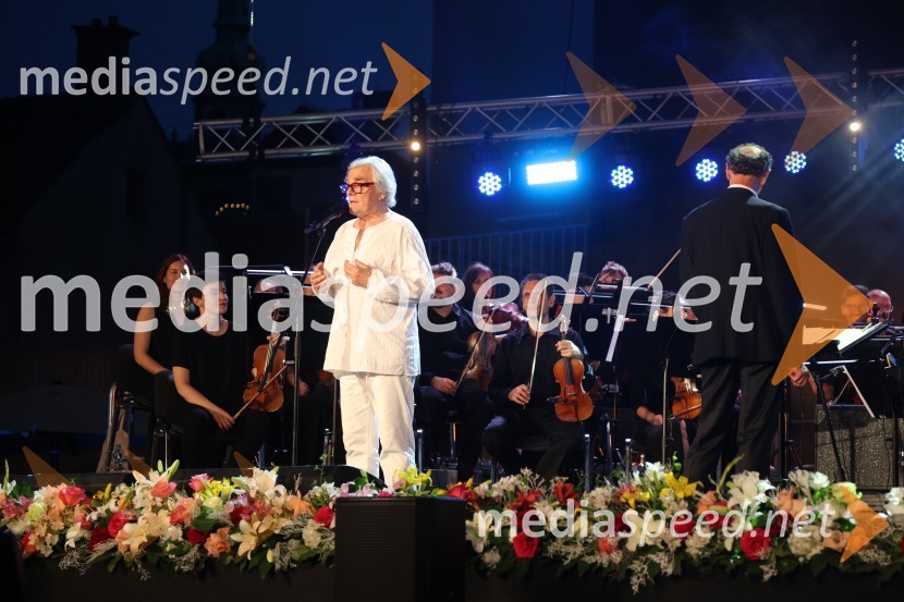  Lado  Leskovar, pevec in ambasador UnicefGala večer slovenske popevke na Festivalu Arsana