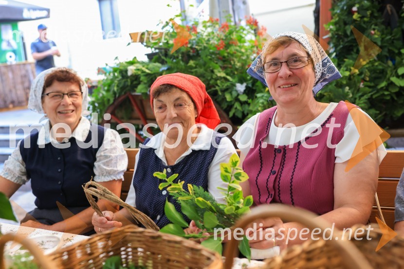 Festival Pivo in cvetje 2024, petek