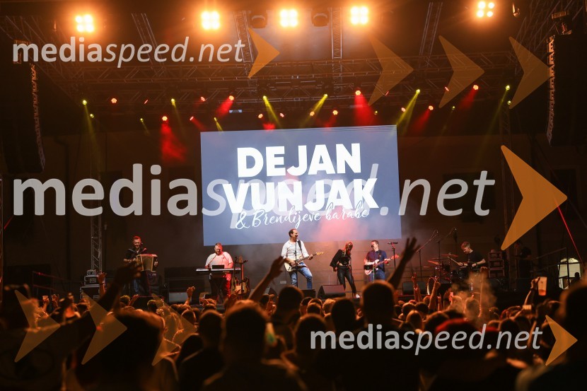  Dejan Vunjak, glasbenikFestival Pivo in cvetje 2024, petek