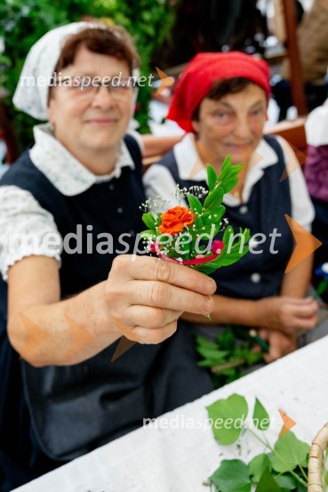 Festival Pivo in cvetje 2024, petek