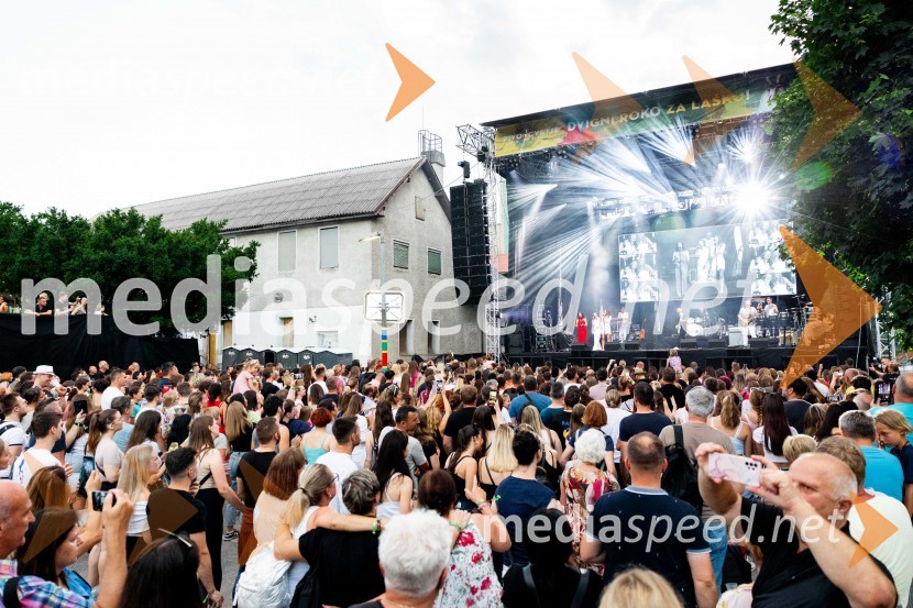 Festival Pivo in cvetje 2024, sobota