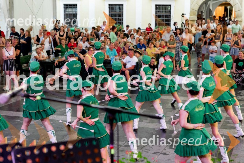 Pivo in cvetje 2024, zaključna povorka