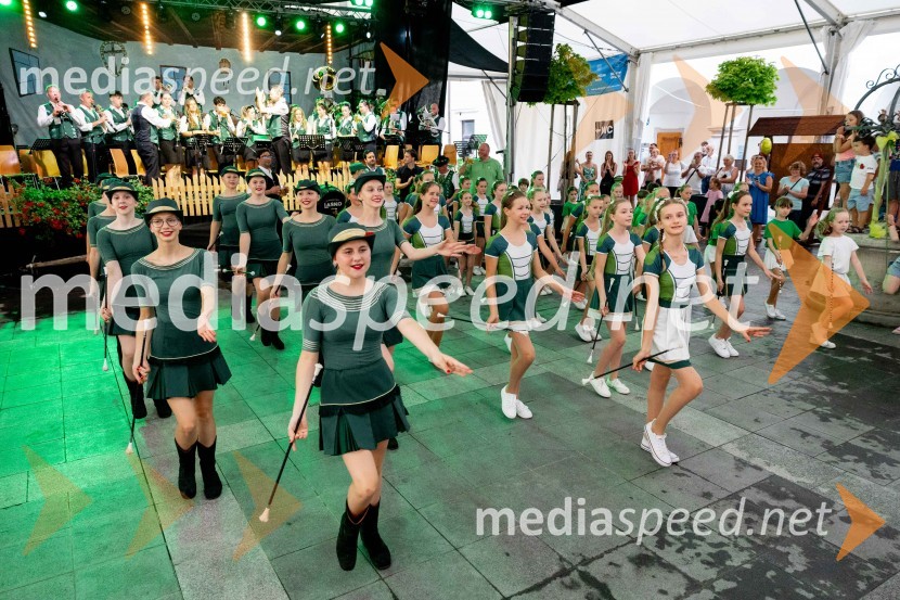 Pivo in cvetje 2024, zaključna povorka