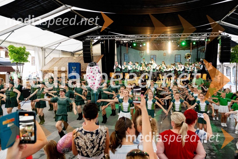 Pivo in cvetje 2024, zaključna povorka