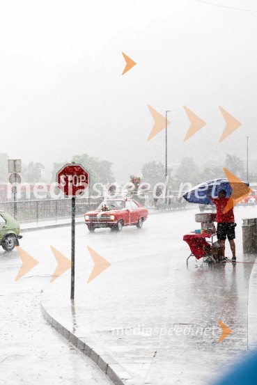 Pivo in cvetje 2024, zaključna povorka