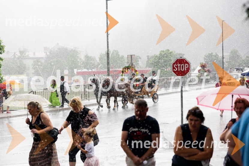 Pivo in cvetje 2024, zaključna povorka