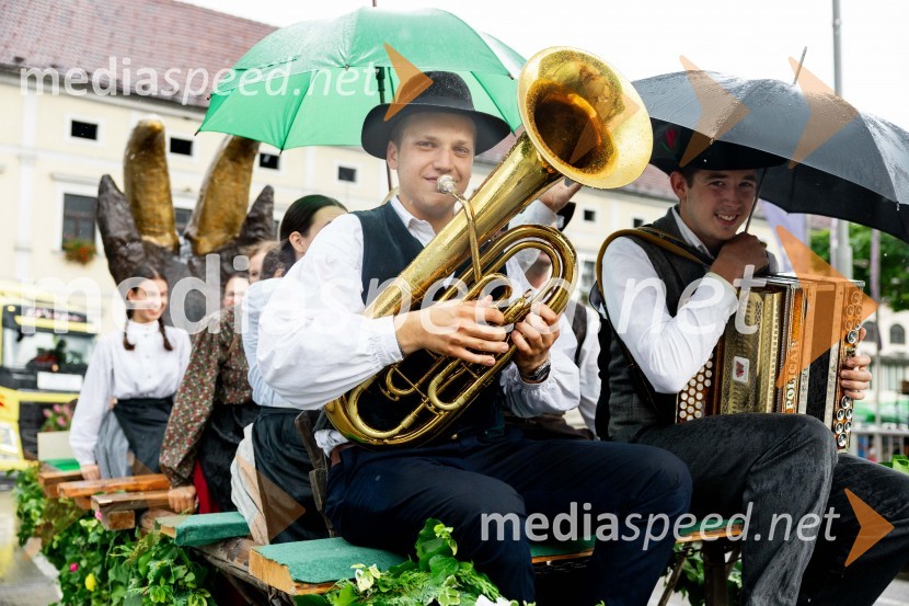 Pivo in cvetje 2024, zaključna povorka