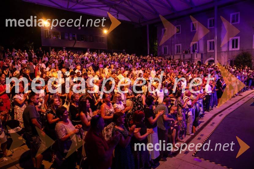 Muzikal Bodyguard, 72. Ljubljana Festival
