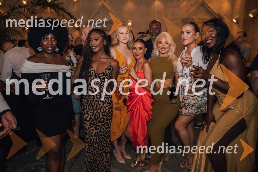  Choolwe Laina Muntanga, igralka, pevka;  Rhianne-Louise McCaulsky, igralka, pevka;  Alice Oberg, pevka, plesalka;  Verity Thompson, igralka;  Verity Thompson, igralka;   David-Michael Johnson, igralec;  Charlotte Louise, igralka;  Marion Fagbemi, pevka, igralkaMuzikal Bodyguard, 72. Ljubljana Festival