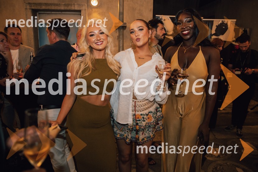  Verity Thompson, igralka;  Charlotte Louise, igralka;  Marion Fagbemi, pevka, igralkaMuzikal Bodyguard, 72. Ljubljana Festival