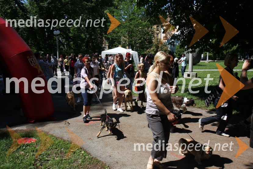 Udeleženci 1. Tačkovega teka1. Tačkov tek