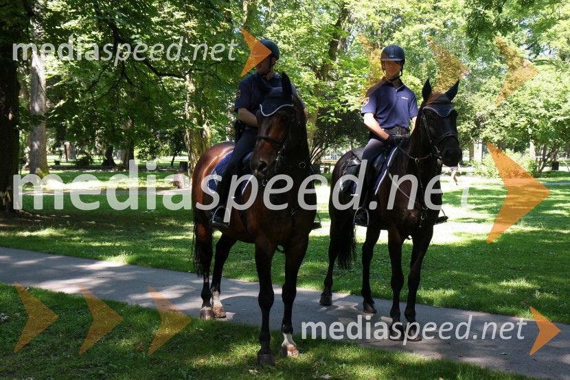 Policaja na konjih1. Tačkov tek