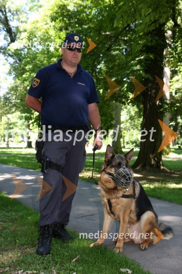 Policaj in pes1. Tačkov tek