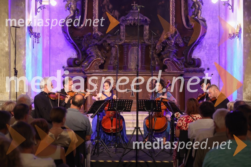  Gary Levinson, violinist;  Anton Iljunin, violinist;  Inbal Segev, violončelo;  Ani Aznavoorian, violončelo;  Adam Savage, viola;  Michael Klotz, violaViolinist Gary Levinson in prijatelji na 72. Ljubljana Festivalu