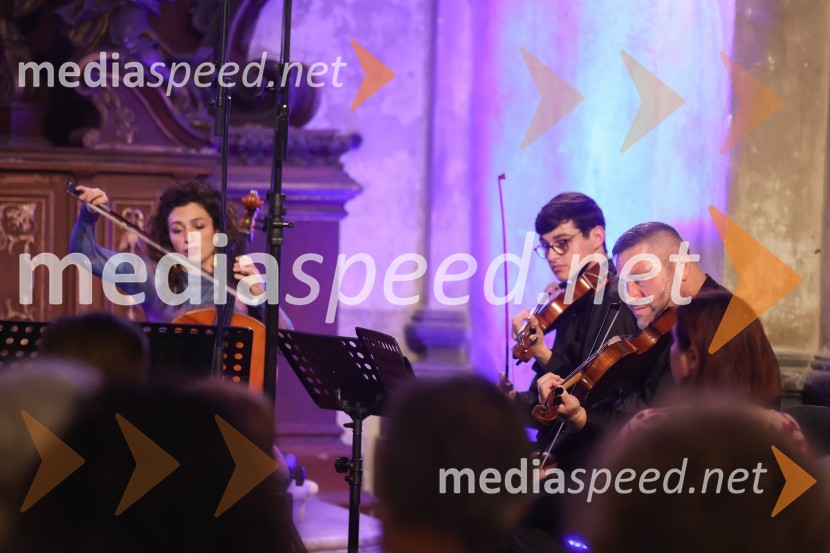  Ani Aznavoorian, violončelo;  Adam Savage, viola;  Michael Klotz, violaViolinist Gary Levinson in prijatelji na 72. Ljubljana Festivalu