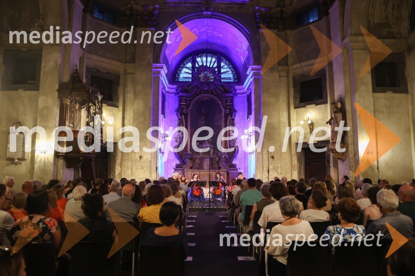 Violinist Gary Levinson in prijatelji na 72. Ljubljana Festivalu