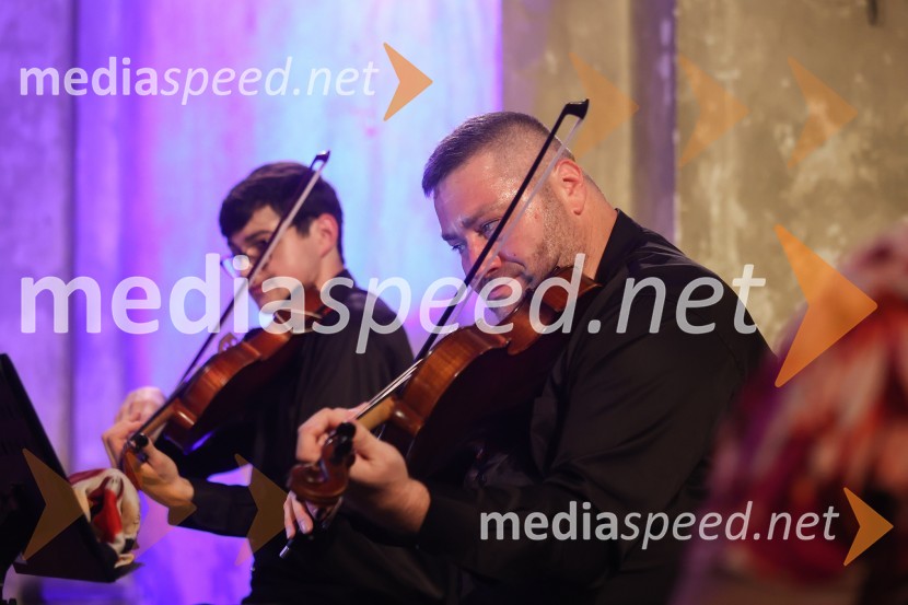  Adam Savage, viola;  Michael Klotz, violaViolinist Gary Levinson in prijatelji na 72. Ljubljana Festivalu