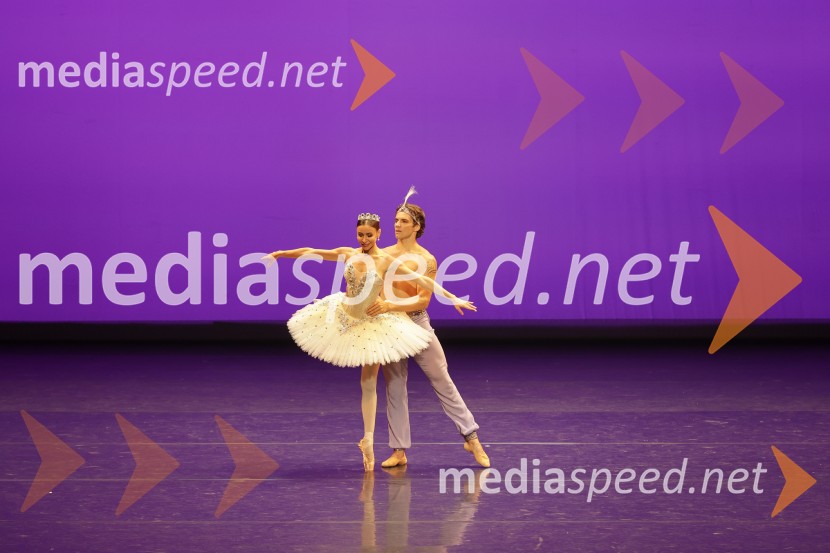  Ljudmila Konovalova, baletna plesalka;  Vsevolod Majevski, baletni plesalecGala večer svetovnih baletnih zvezd na Ljubljana Festivalu