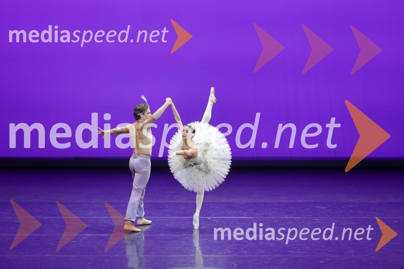  Vsevolod Majevski, baletni plesalec;  Ljudmila Konovalova, baletna plesalkaGala večer svetovnih baletnih zvezd na Ljubljana Festivalu