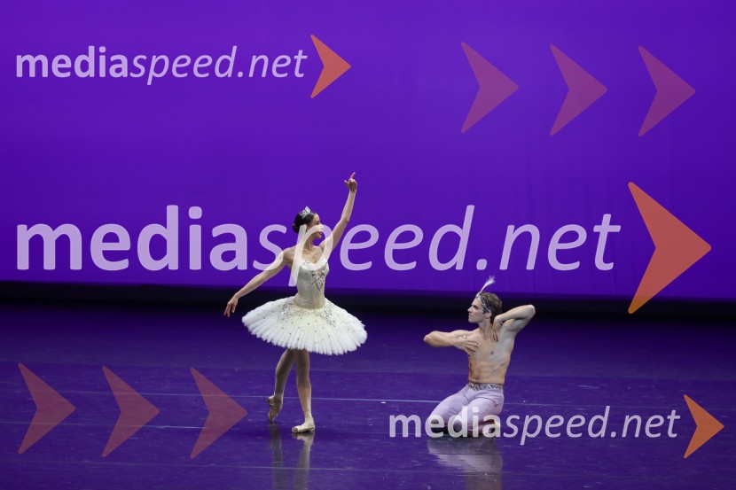  Ljudmila Konovalova, baletna plesalka;  Vsevolod Majevski, baletni plesalecGala večer svetovnih baletnih zvezd na Ljubljana Festivalu