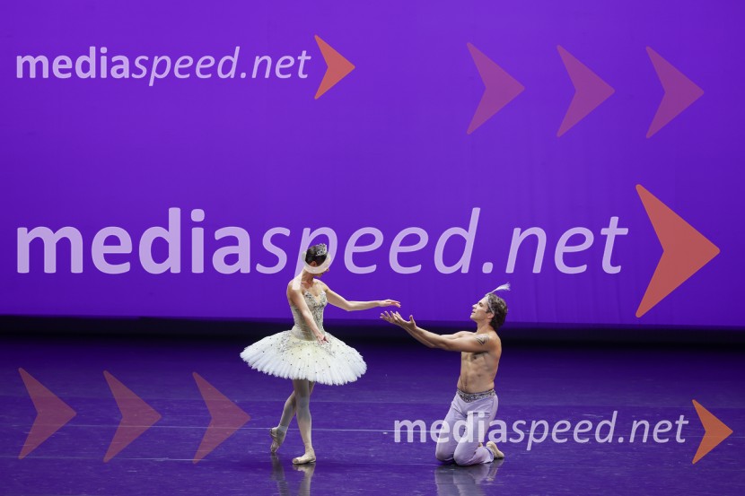  Ljudmila Konovalova, baletna plesalka;  Vsevolod Majevski, baletni plesalecGala večer svetovnih baletnih zvezd na Ljubljana Festivalu