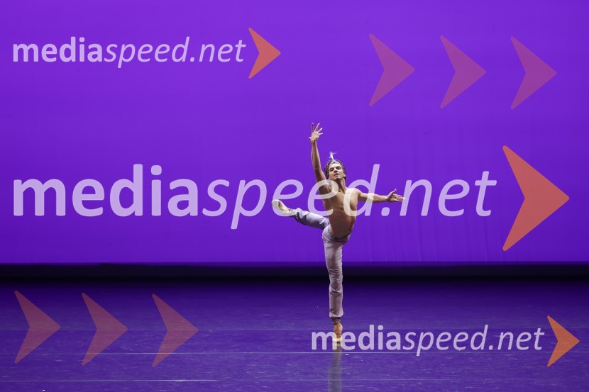  Vsevolod Majevski, baletni plesalecGala večer svetovnih baletnih zvezd na Ljubljana Festivalu