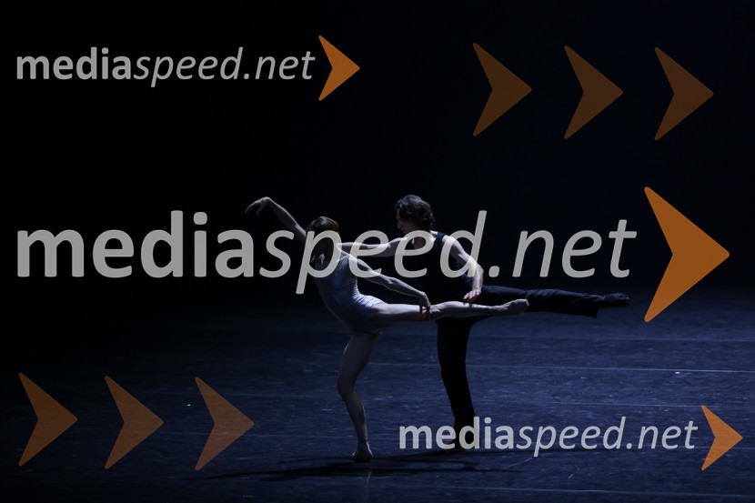  Svetlana Zaharova , baletna plesalka;  Artemij Beljakov, baletni plesalecGala večer svetovnih baletnih zvezd na Ljubljana Festivalu