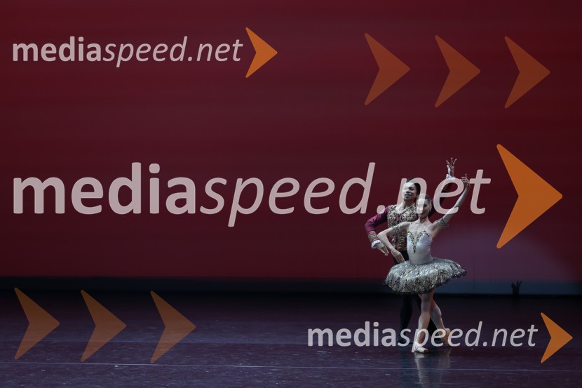  Motomi Kiyota, baletni plesalec;  Tatyjana Melnik, baletna plesalkaGala večer svetovnih baletnih zvezd na Ljubljana Festivalu