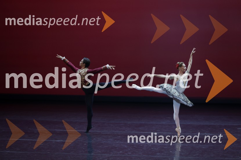  Motomi Kiyota, baletni plesalec;  Tatyjana Melnik, baletna plesalkaGala večer svetovnih baletnih zvezd na Ljubljana Festivalu