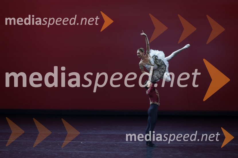  Tatyjana Melnik, baletna plesalka;  Motomi Kiyota, baletni plesalecGala večer svetovnih baletnih zvezd na Ljubljana Festivalu