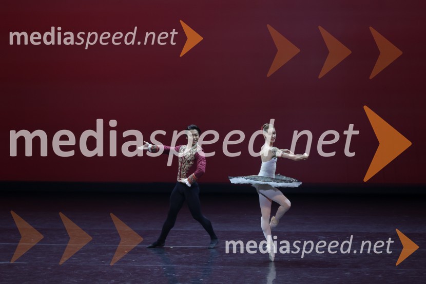  Motomi Kiyota, baletni plesalec;  Tatyjana Melnik, baletna plesalkaGala večer svetovnih baletnih zvezd na Ljubljana Festivalu