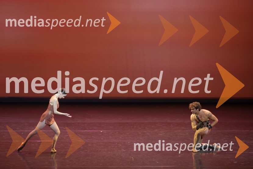  Kristina Kretova, baletna plesalka;  Igor Cvirko, baletni plesalecGala večer svetovnih baletnih zvezd na Ljubljana Festivalu