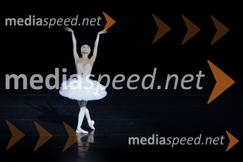  Svetlana Zaharova , baletna plesalkaGala večer svetovnih baletnih zvezd na Ljubljana Festivalu